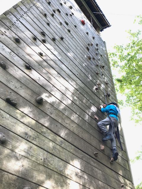 Beaver half way up climbing wall!